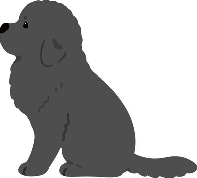 recommend clip art: Simple and adorable Newfoundland dog illustration sitting in side view flat colored