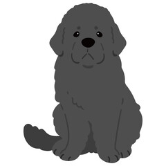 Simple and adorable Newfoundland dog illustration sitting in front view flat colored