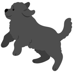 Simple and adorable Newfoundland dog illustration jumping flat colored