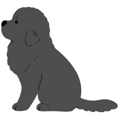 Simple and adorable Newfoundland dog illustration sitting in side view flat colored