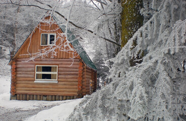 Solitary wooden house surrounded with snowy forest. Winter concept.
