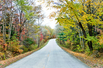 Scenic road through autumn trees