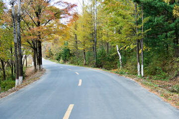 Scenic road through autumn trees