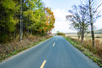 Naklejka premium Winding road in autumn woods with colorful foliage tree