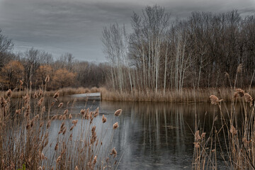 Fototapeta premium lake in the fall