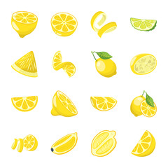 Modern flat illustration of lemon 