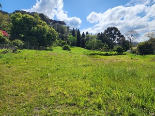 terreno com grama verde