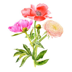 pink peony and ranunculus and red poppy, garden flowers and green leaves, watercolor drawing bouquet, hand drawn illustration,natural template
