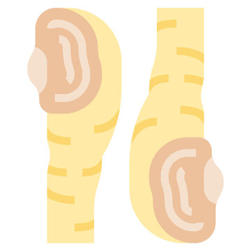 Geoduck Icon