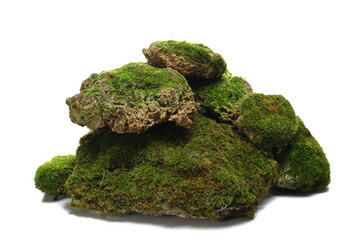 Green moss on stone, isolated on white 