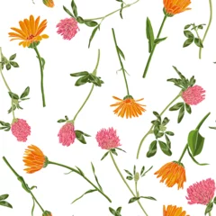 Fototapeten calendula flowers, field marigold zand red clover, vector drawing seamless pattern with wild plants at white background, flowering meadow , hand drawn botanical illustration © cat_arch_angel