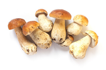 Fresh autumn cep porcini mushrooms isolated