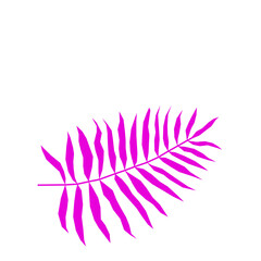 Gradient Tropical Exotic Palm Leaf Silhouette Minimalist Poster Element Icon