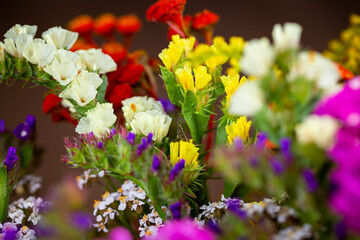Dried flower arrangement, plenty of flower kinds and colours. Studio photo taken with flash light