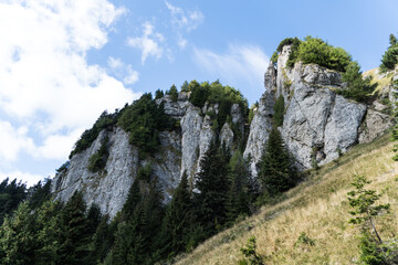 rock in the mountains,  Vanturis Mountain, Bucegi Mountains,  Romania 