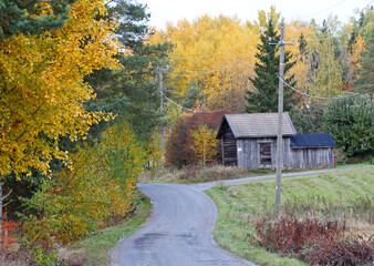 Countryroad through autumnal landscape