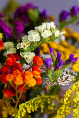 Dried flower arrangement, plenty of flower kinds and colours. Studio photo taken with flash light