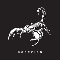 Hand drawing scorpion vector illustration. Black and white - obrazy, fototapety, plakaty