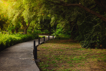 Sendero en parque