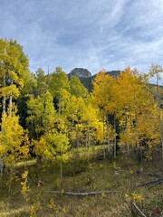 Hiking Seeing Fall Colors In Colorado