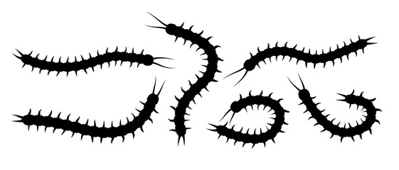 Centipedes. Set of black silhouettes of centipedes. Vector clipart isolated on white background.
