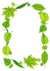 Frame with spring leaves. Beautiful decorative foliage.