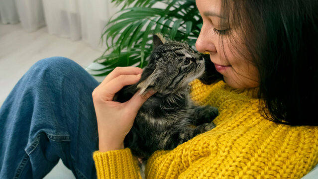 female with cute kitten relaxing at home wearing warm yellow sweater is resting with a cat on the armchair at home one autumn day. woman with cute cat relaxing at home - Powered by Adobe