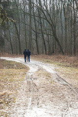 Forest road in the winter forest on a cloudy day. Winter.