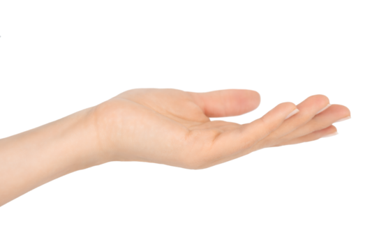 Isolated open female hand