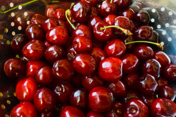 Red cherries in a bowl in summer