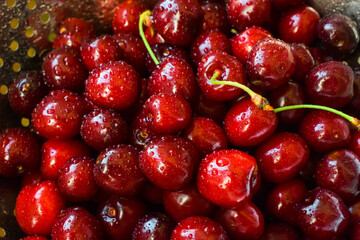 Red cherries with drops of water in a bowl in summer