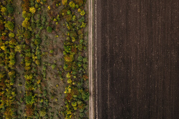 Aerial top down view of the empty rural road on the autumn fields with green trees. Drone shot of an autumn rural fields.