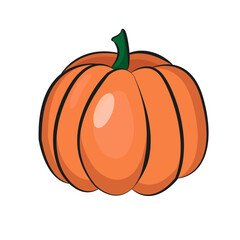 Isolated vector bright pumpkin, Halloween symbol, autumn vegetable