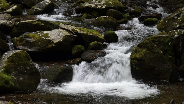 Cascades in the Middle prong of the Little Pigeon River in Great Smoky Mountains, TN, USA (4K/24p, ProRes 422 HQ, 10-bit)