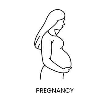 Pregnant woman line icon in vector, illustration of a girl pregnancy.