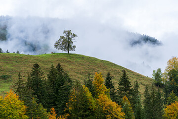 Nagelfluhkette im Allgäu