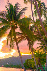 Vertical tropical landscape. Palm trees on the seashore against the backdrop of mountains at sunset. Travel and tourism