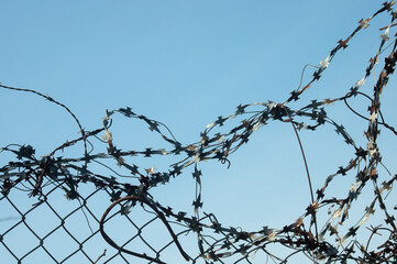 blue background, in the photo a barbed metal wire against a blue sky background