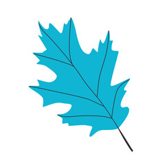 Blue tree leaf. Illustration on a transparent background.