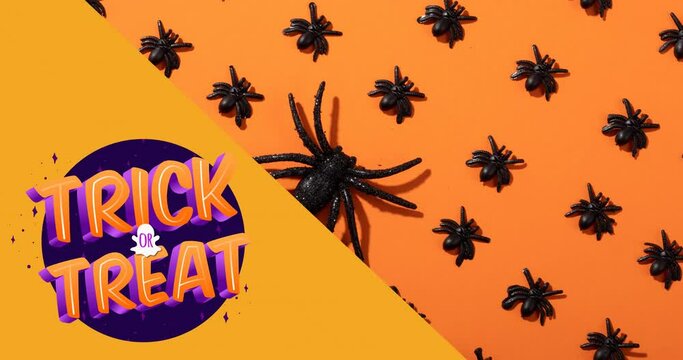 Animation of trick or treat text over spiders