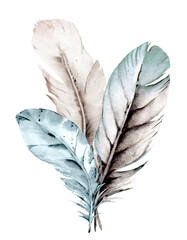 Bird feather composition, watercolor boho illustration. Hand drawn. Suitable for poster design, print, sublimation.
