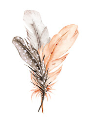 Bird feather composition, watercolor boho illustration. Hand drawn. Suitable for poster design, print, sublimation.