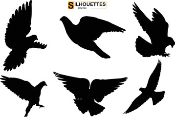 
Set of silhouettes of flying birds pigeon silhouettes on  transparent background