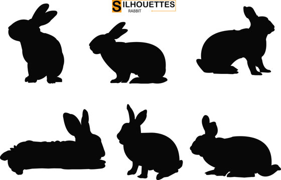 Set of different rabbits silhouettes for design use