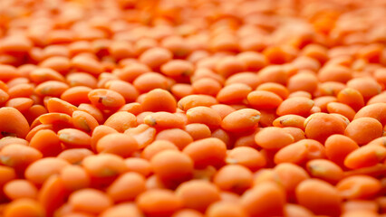 Red lentil grains background, texture, top view. Dry grains of red lentils, background, top view. Orange lentils, background. Bunch of orange lentils, texture, top view.
