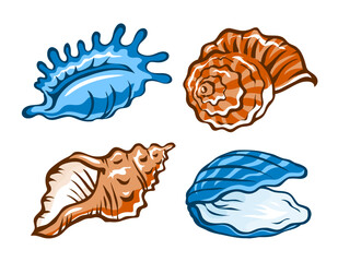 Seashells set. Snail sea shell. Marine underwater twisted seashell. Spiral shape. Undersea mollusc. Animal and wildlife. Cartoon isolated art illustration hand drawn. Vector sketch