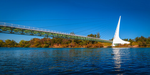 Panoramic autumn landscape at Sacramento River and wildlife animal sanctuary with the view of...