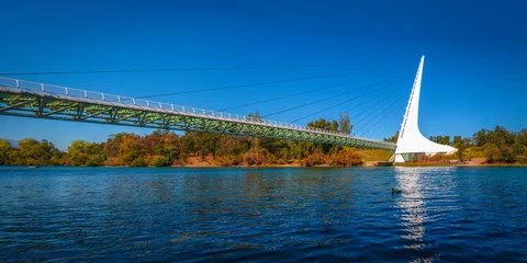 Foto op Aluminium Panoramic autumn landscape at Sacramento River and wildlife animal sanctuary with the view of Sundial Bridge in Redding, Northern California © Naya Na