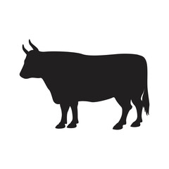 Silhouette of a cow