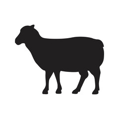 Silhouette of a Sheep